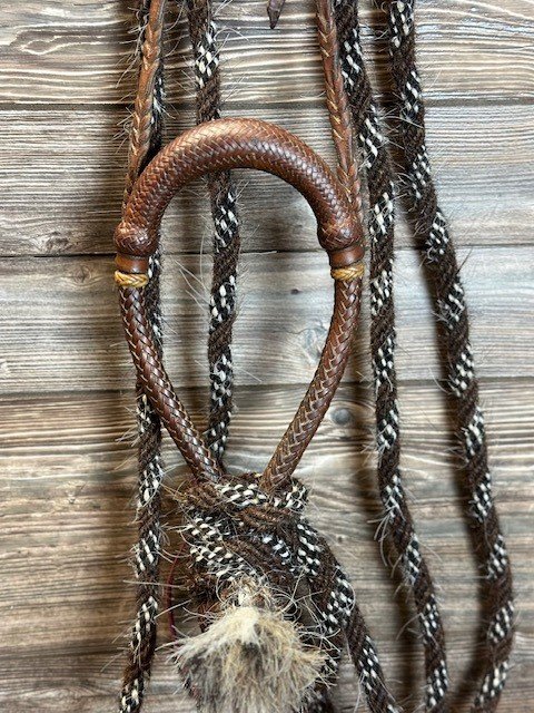 Luis Ortega Kangaroo 5/8 Hackamore